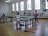 pingpong.jpg (55001 bytes)